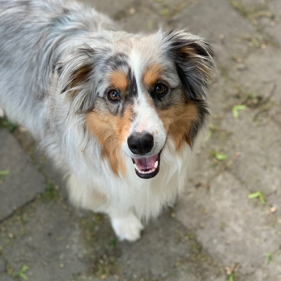 Meet your Posher, Natalie - Picture 10 of 16